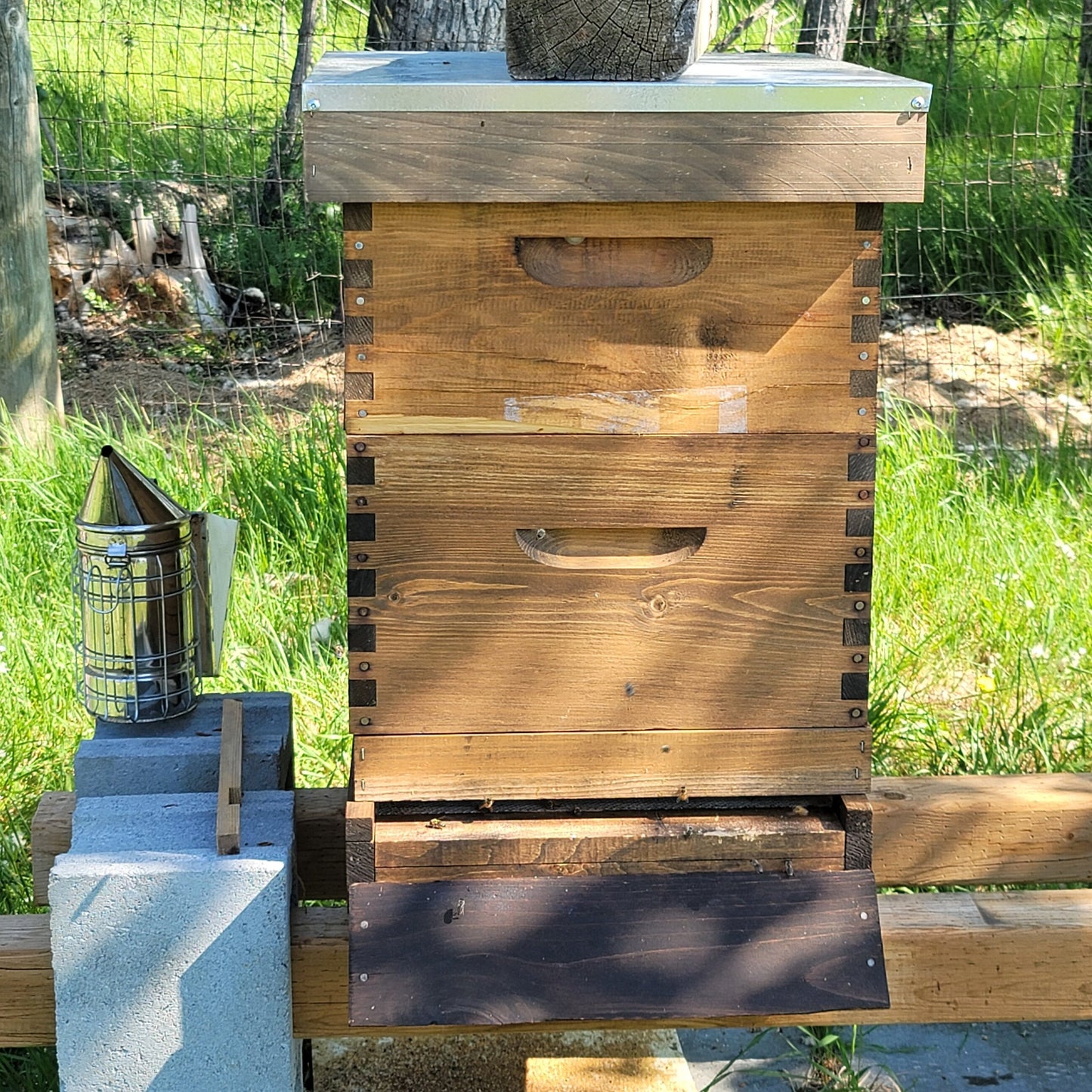 Bee Adoption Program